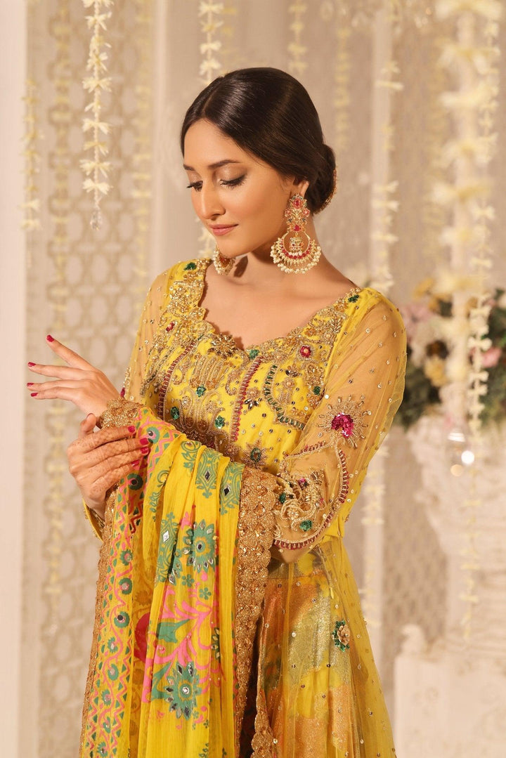 Embroidered ZB 1037 - Zeshan Bariwala